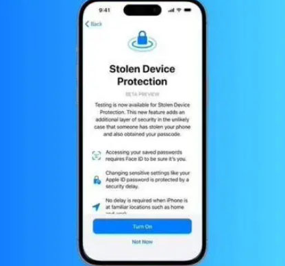河源苹果授权维修店分享被盗设备保护功能开启方法 