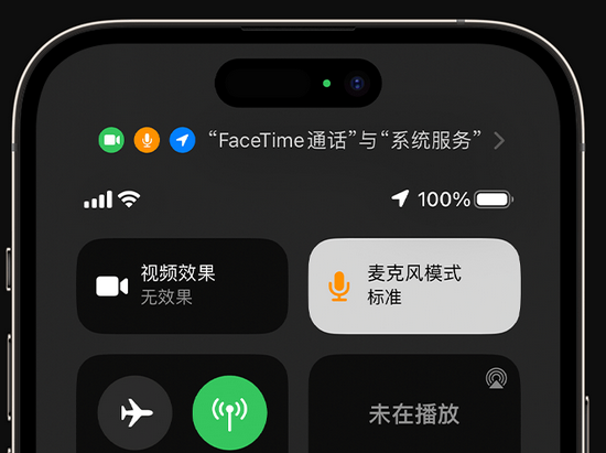 河源苹果授权维修网点分享iPhone在通话时让你的声音更清晰 