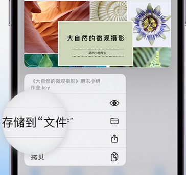 河源apple维修中心分享iPhone文件应用中存储和找到下载文件