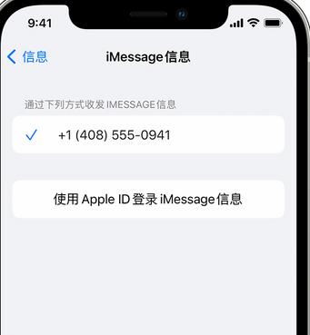 河源apple维修iPhone上无法正常发送iMessage信息