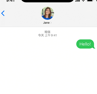 河源apple维修iPhone上无法正常发送iMessage信息