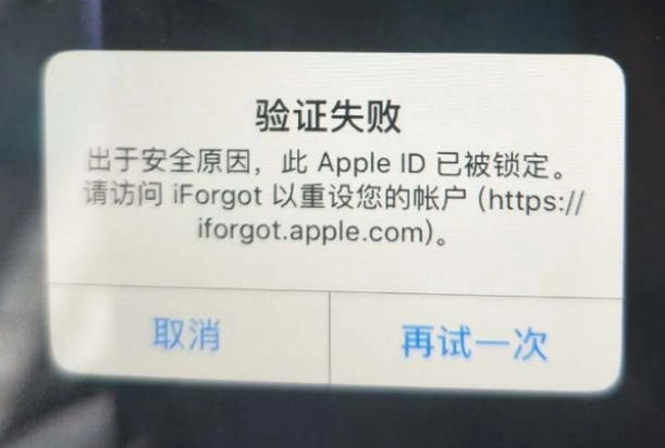 河源iPhone维修分享iPhone上正常登录或使用AppleID怎么办 