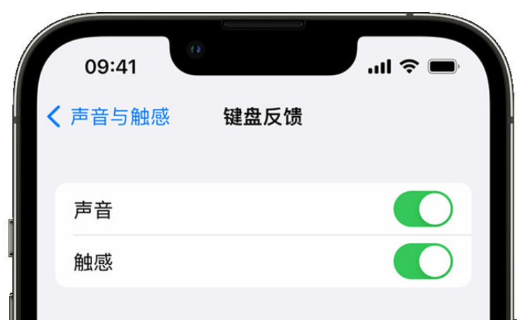 河源苹果手机维修分享iPhone 14触感键盘使用方法 