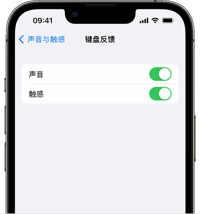 河源苹果14维修店分享如何在 iPhone 14 机型中使用触感键盘 