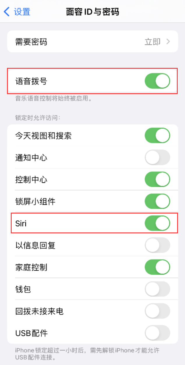 河源苹果维修网点分享不解锁 iPhone 的情况下通过 Siri 拨打电话的方法 