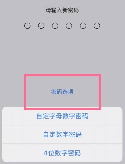 河源苹果14维修分享iPhone 14plus设置密码的方法 