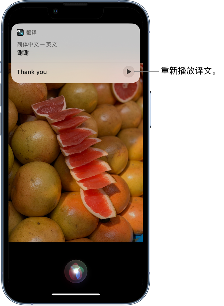 河源苹果14维修分享 iPhone 14 机型中使用 Siri：了解 Siri 能帮你做什么 