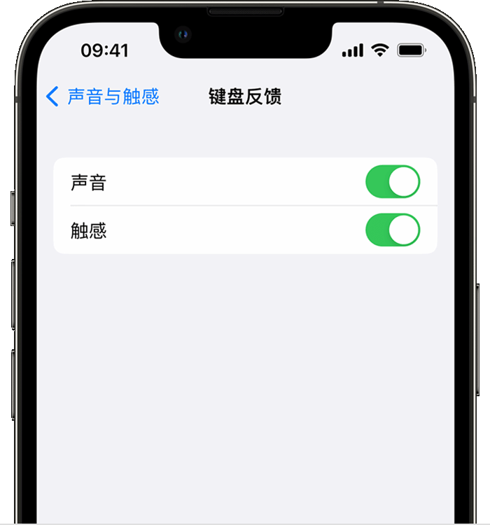 河源苹果14维修分享iPhone 14 系列机型如何开启键盘声音或触感反馈 