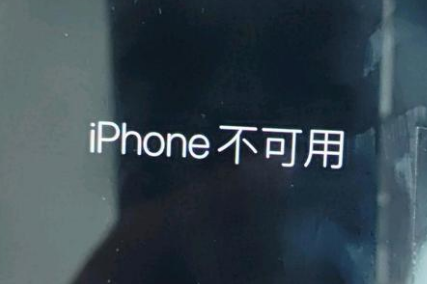 河源苹果服务网点分享锁屏界面显示“iPhone 不可用”如何解决 