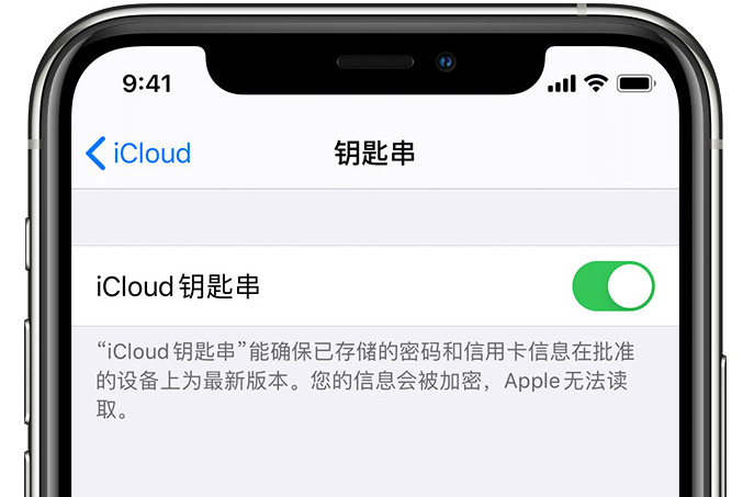河源苹果手机维修分享在 iPhone 上开启 iCloud 钥匙串之后会储存哪些信息 