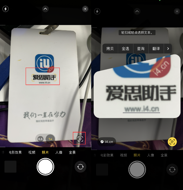 河源苹果手机维修分享升级iOS 16后如何通过相机翻译文本 