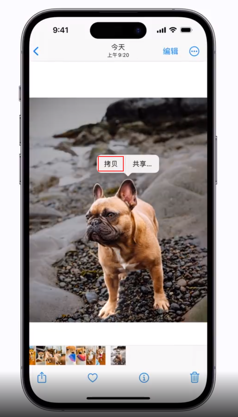 河源苹果手机维修分享 iOS 16 自带一键抠图功能 