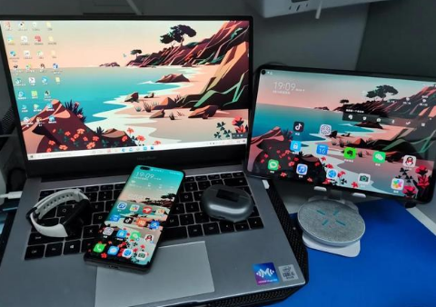 河源苹果手机维修分享为什么iPad屏幕更大价格却比iPhone低 