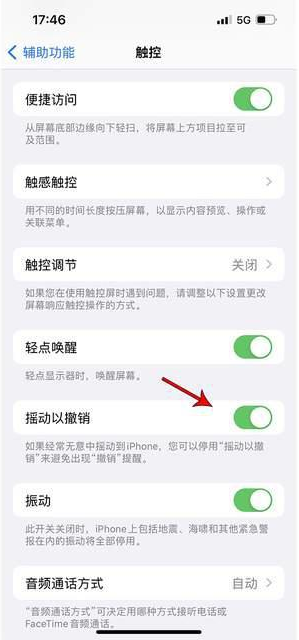 河源苹果手机维修分享iPhone手机如何设置摇一摇删除文字 