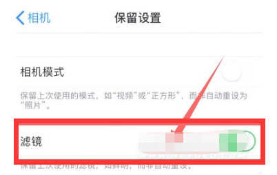 河源苹果13维修分享iPhone13拍照有绿点是怎么回事 