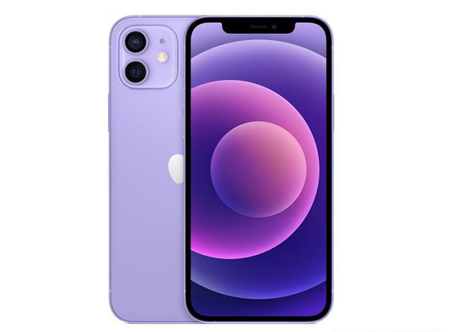 河源苹果手机维修分享现阶段要不要入手紫色版iPhone12 
