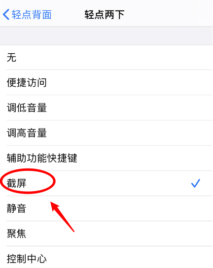 河源苹果手机维修分享iPhone12如何启用双击截屏 