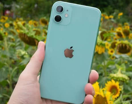 河源苹果维修点分享iPhone 11锁屏密码认知与使用科普 