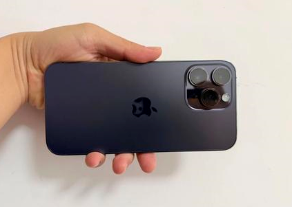 河源苹果维修点分享iPhone 14 Pro Max黑屏少见故障盘点 